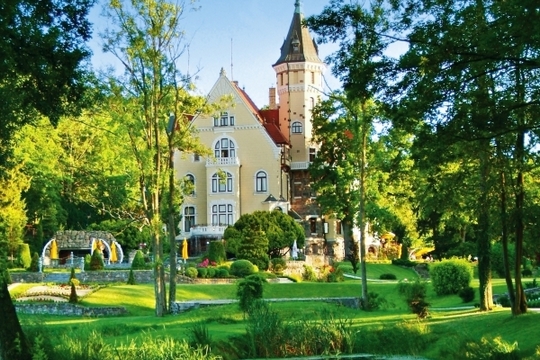 Бурштиновий палац у Стшекенцині