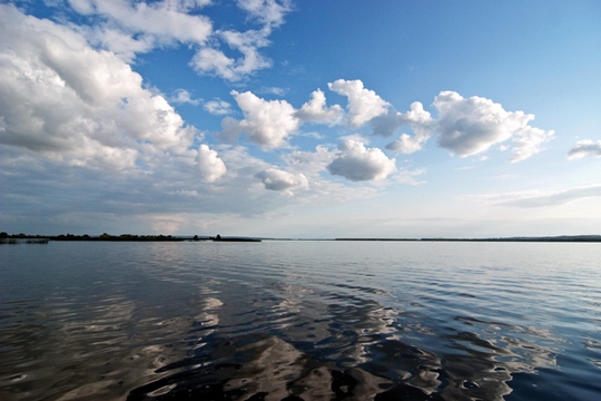 Острів бакланів на озері Добському