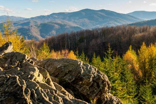 Древні та первісні букові ліси Карпат та інших європейських регіонів