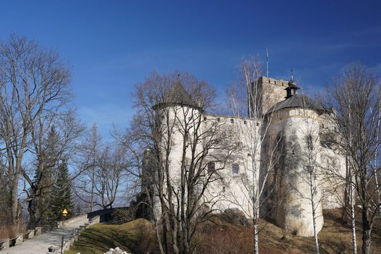 Замок Дунаєць
